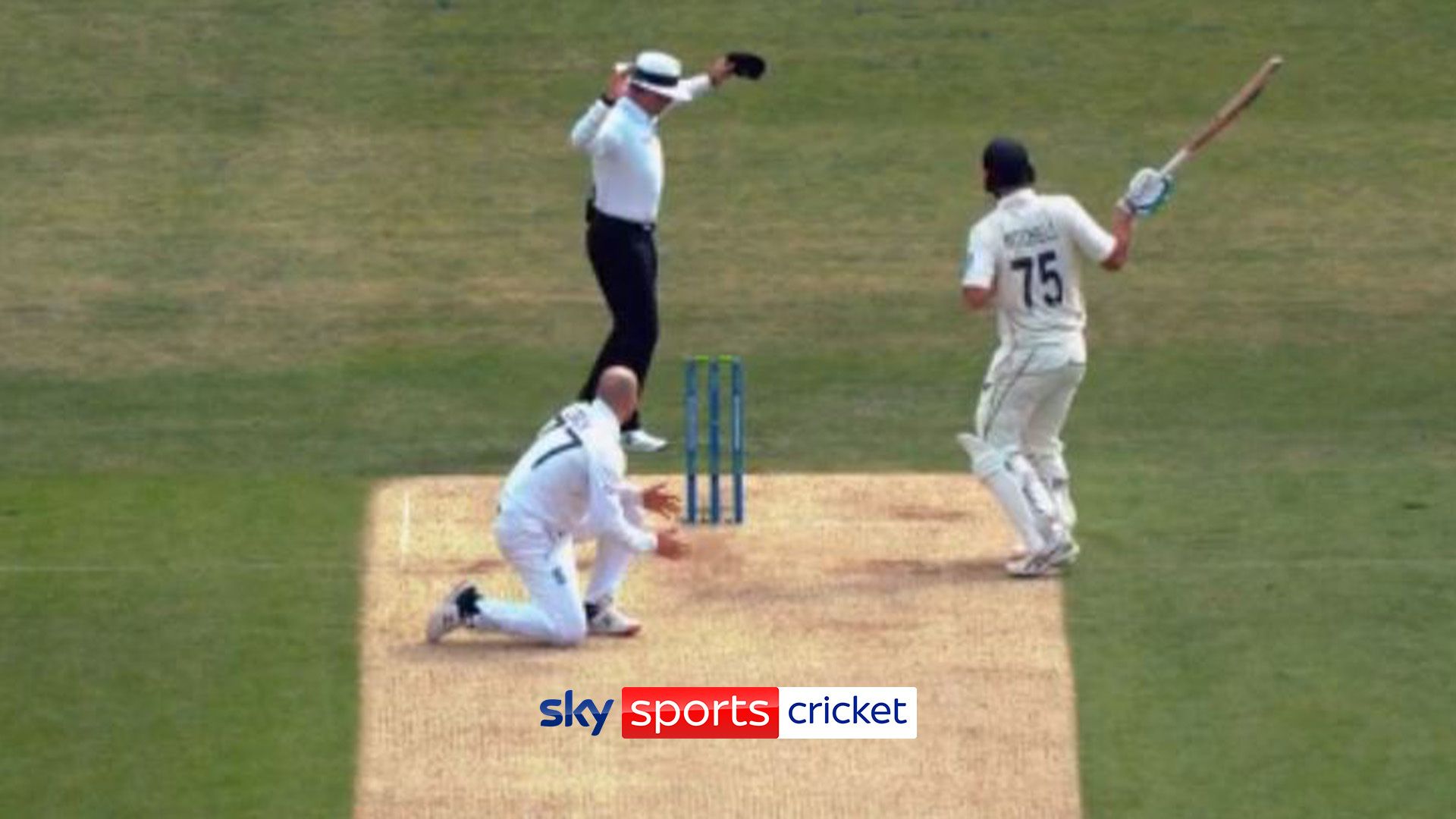 ‘I can’t imagine that!’ | One of many flukiest wickets ever?!SkySports | Information