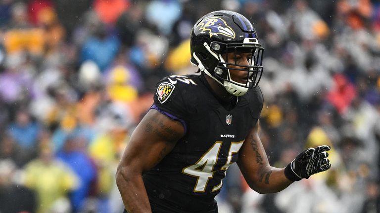 Linebacker Jaylon Ferguson has died aged 26, the Baltimore Ravens have confirmed 