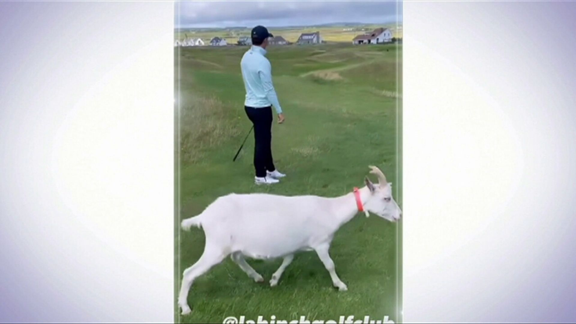 Spieth warms up for The Open by playing with goats!