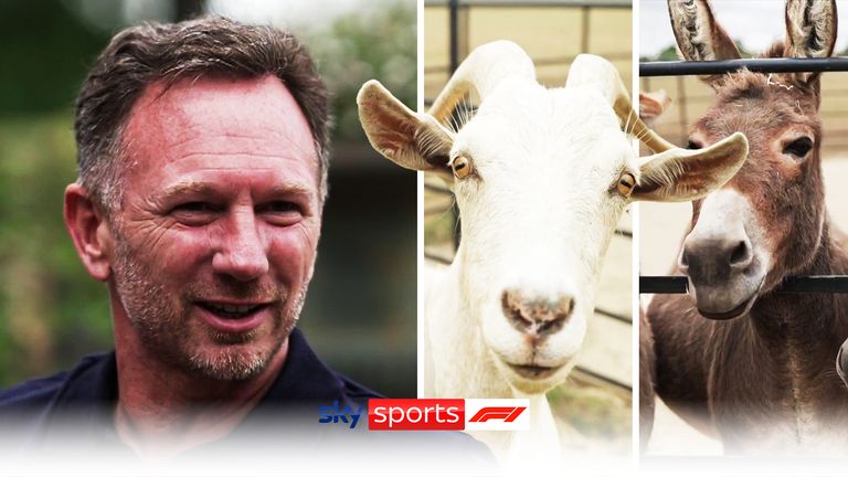 In August 2022, Martin Brundle spent time with Christian Horner at his country home to discuss all things Red Bull