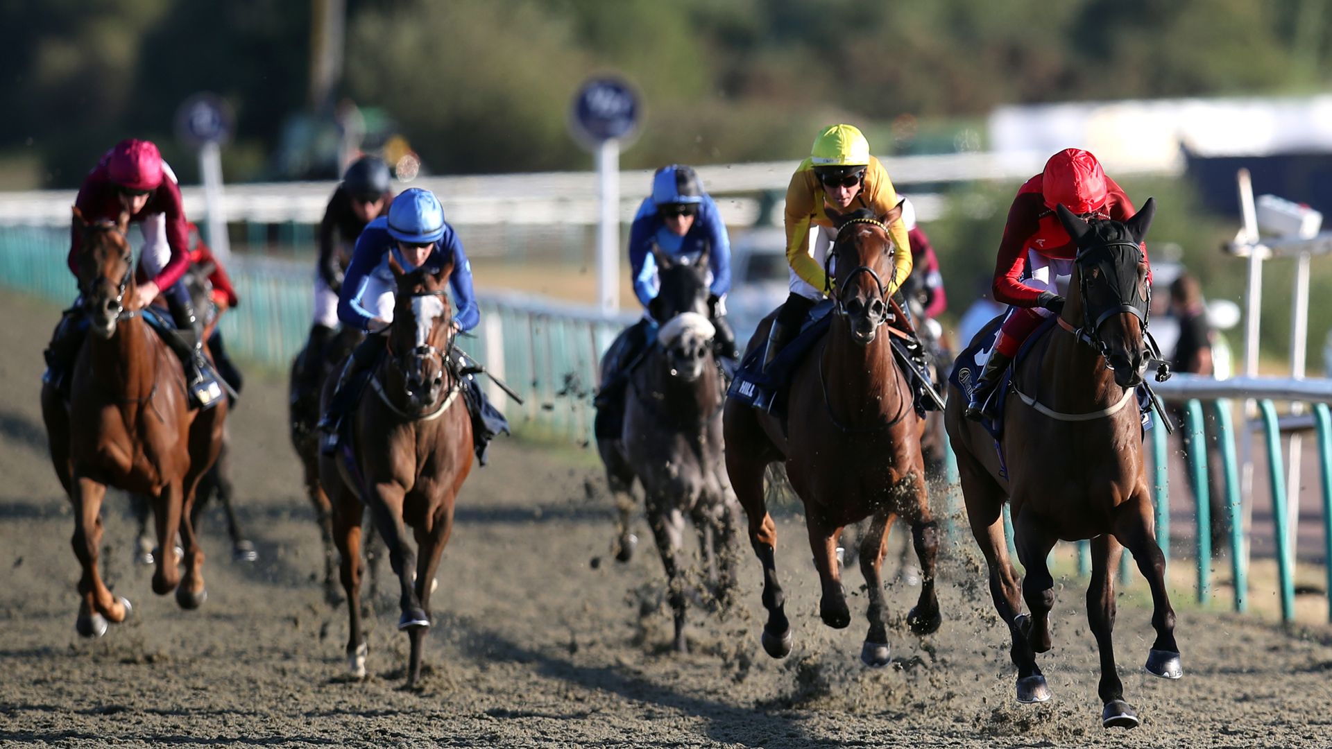 Race of the Day: Simon Hodgson team can strike in Lingfield feature with Total Commitment | Racing News