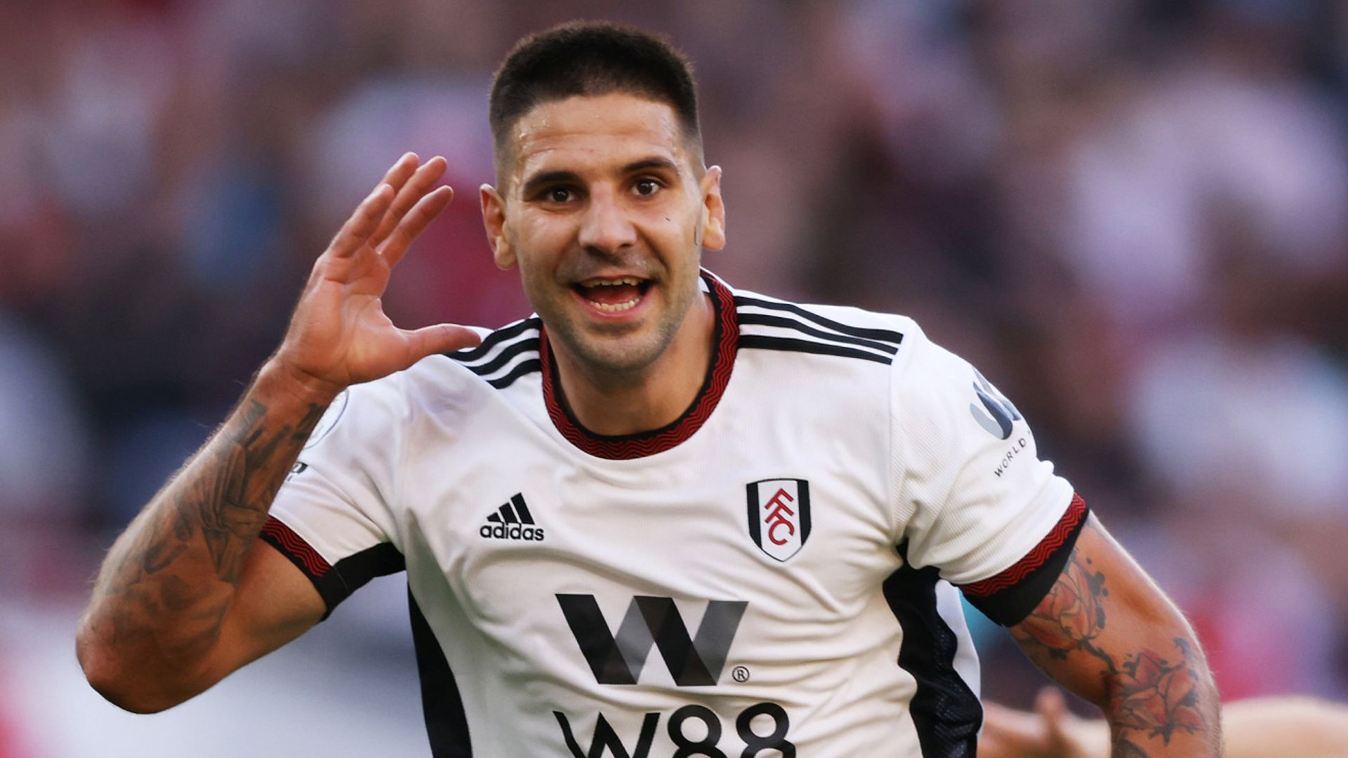 Jones Knows best bets - Back 8/1 Mitrovic to score a header