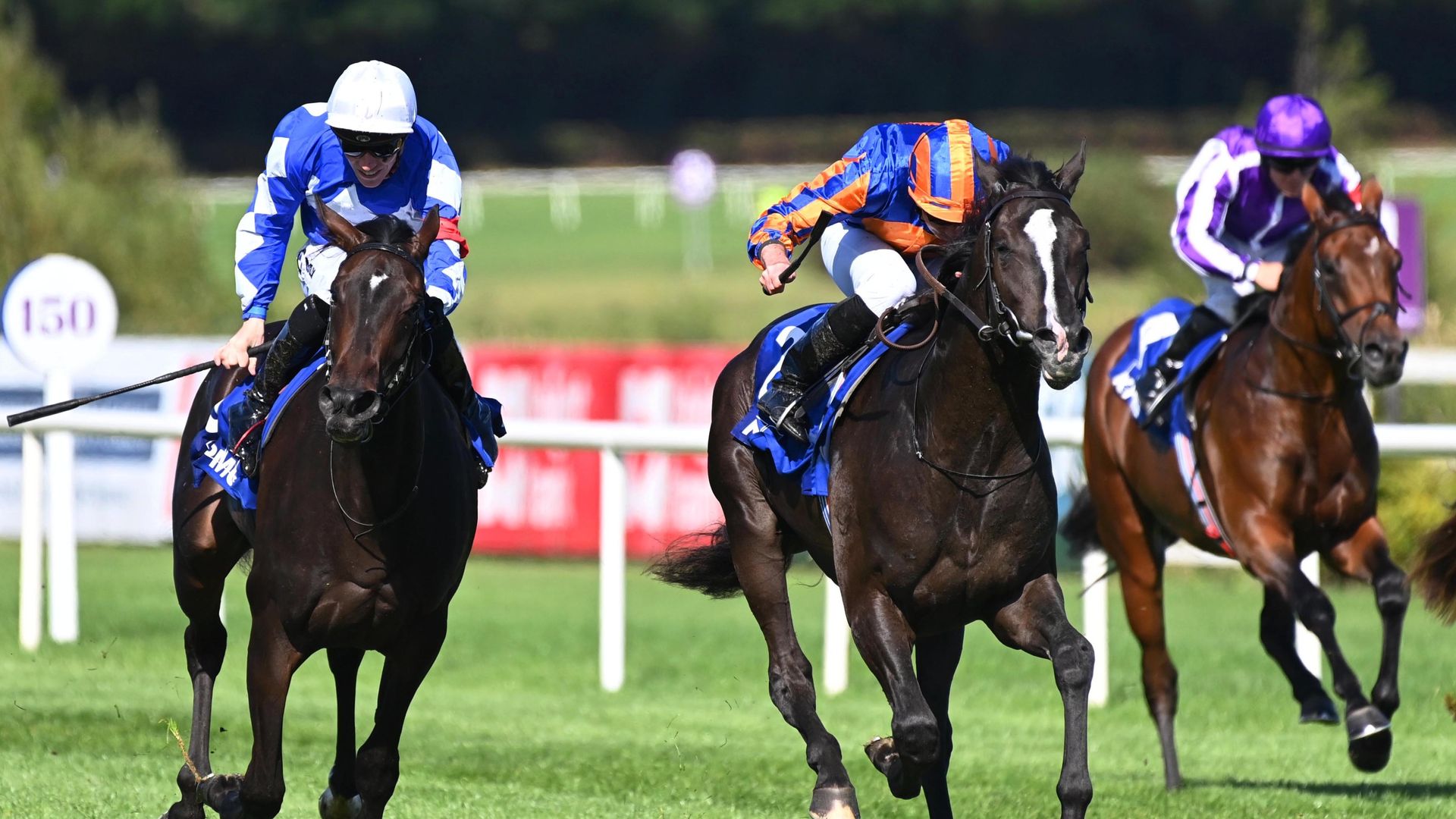 Race of the Day: 11th heaven for O'Brien in Vertem Futurity?