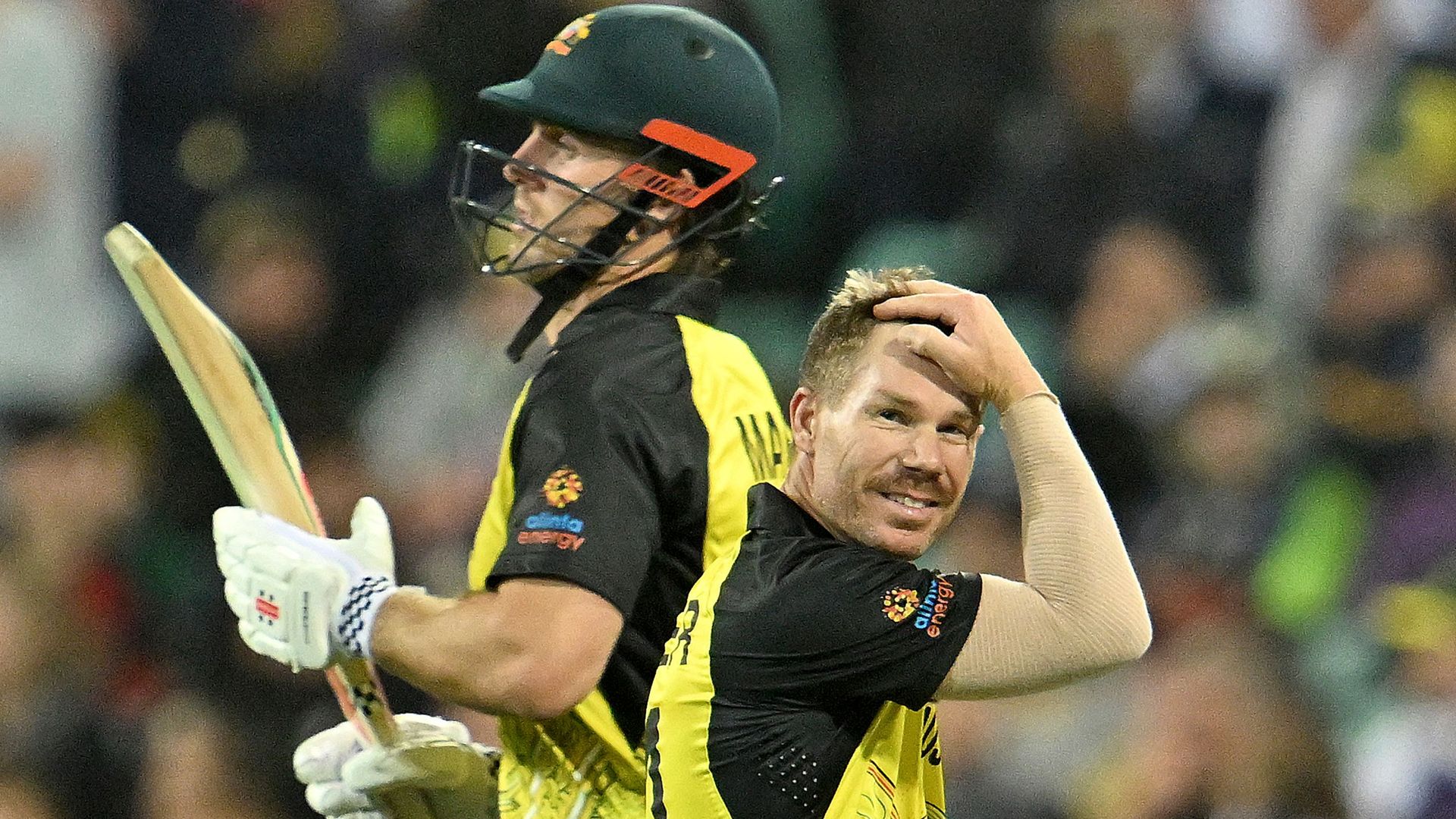 Australia annihilated by New Zealand in T20 World Cup
