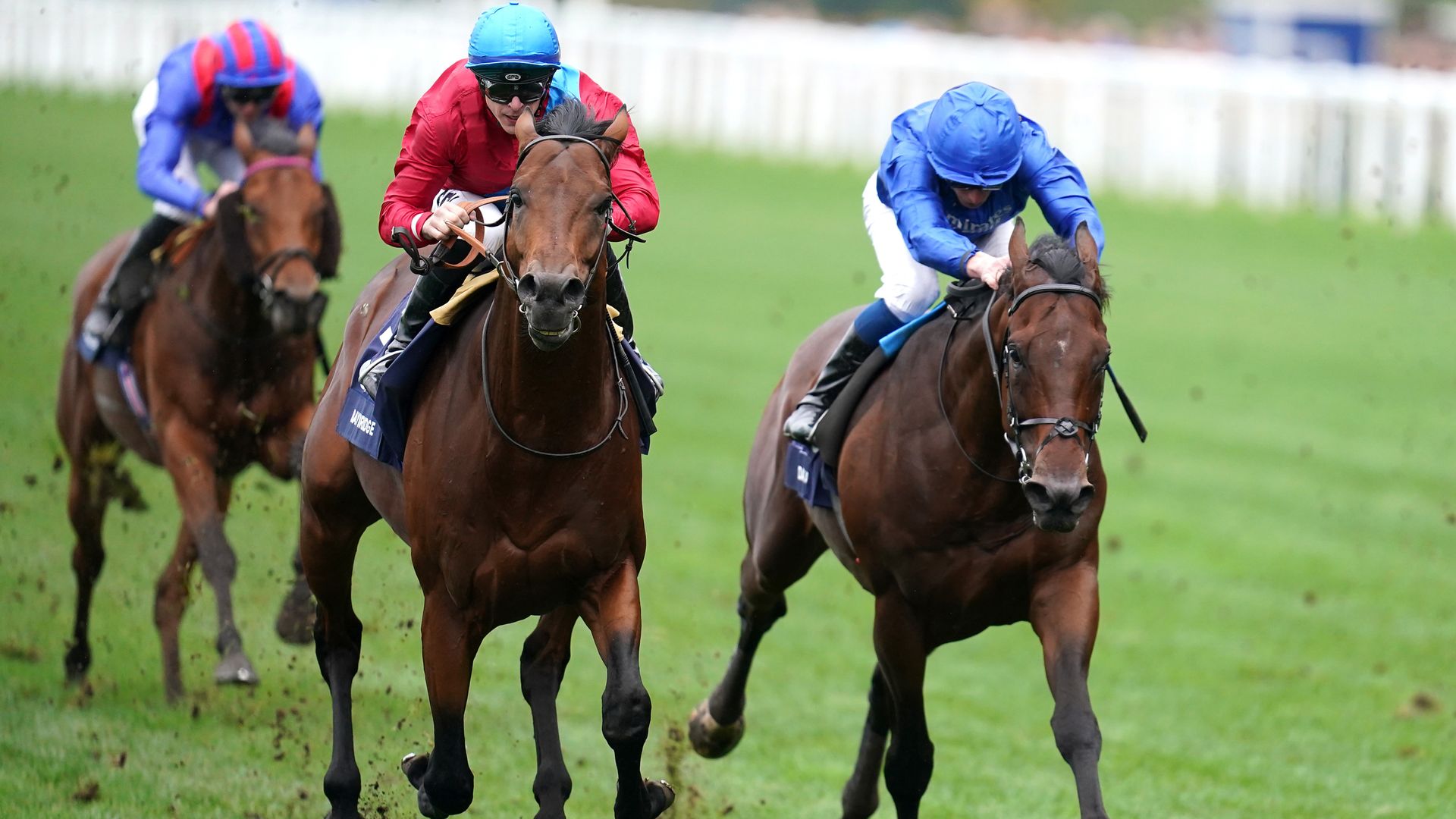 John Hunt's best bets on Qipco Champions Day at Ascot!