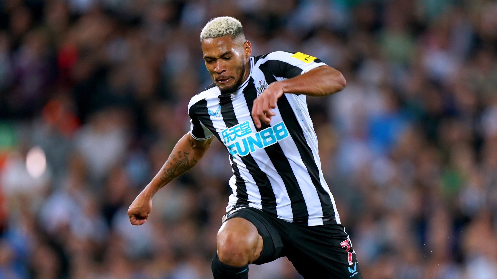 Joelinton Tái Khẳng Định Giá Trị – Newcastle Cần Sức Mạnh Tuyến Giữa Joelinton Tái Khẳng Định Giá Trị – Newcastle Cần Sức Mạnh Tuyến Giữa