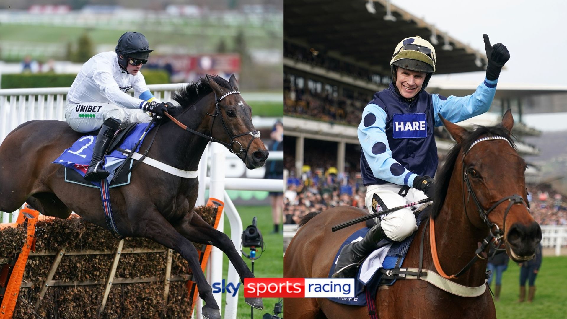 Structure Hill, Edwardstone characteristic in star-studded Ascot line-upSkySports | Information