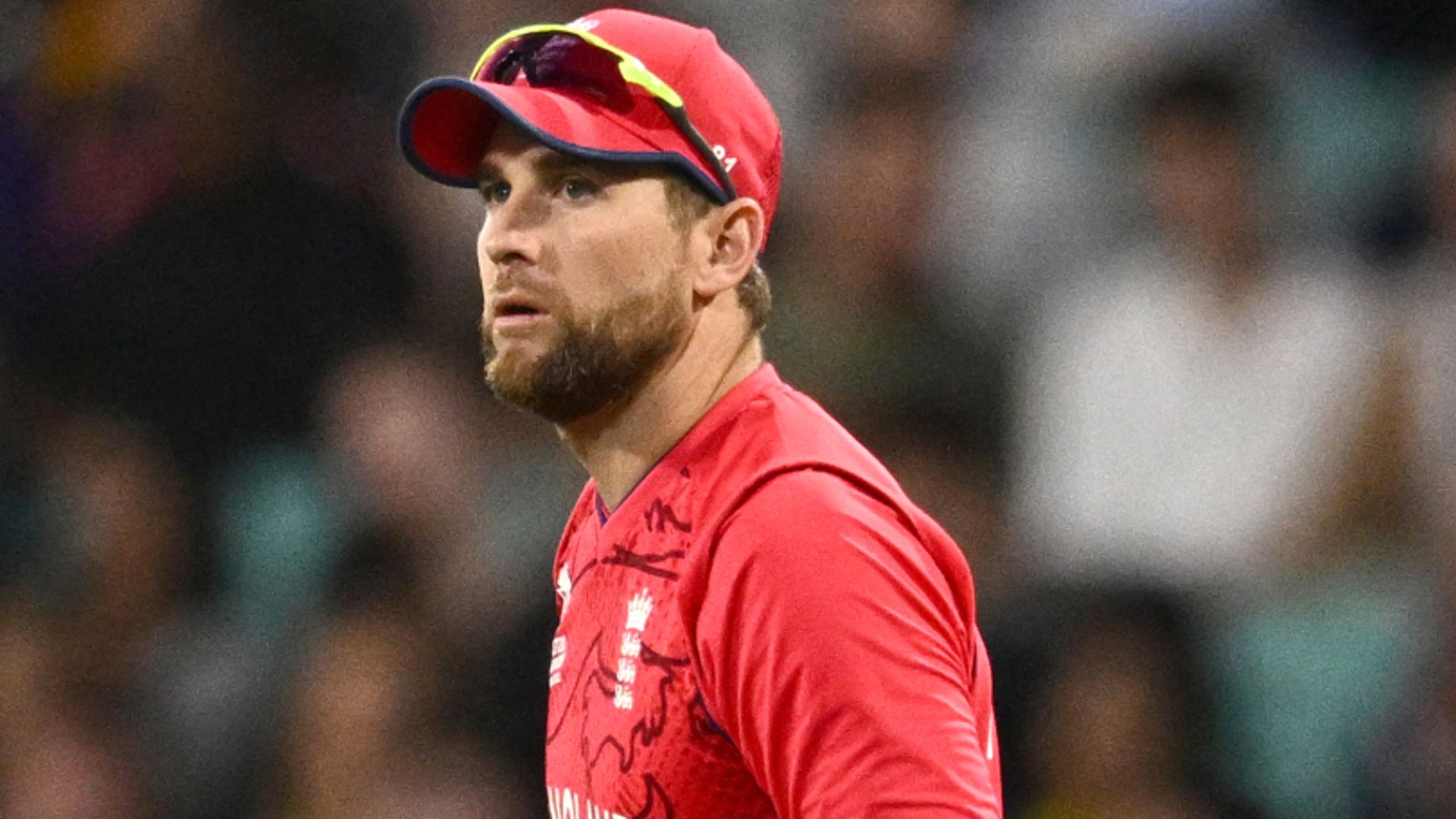 Salt to open if Malan misses out on semi-finals?