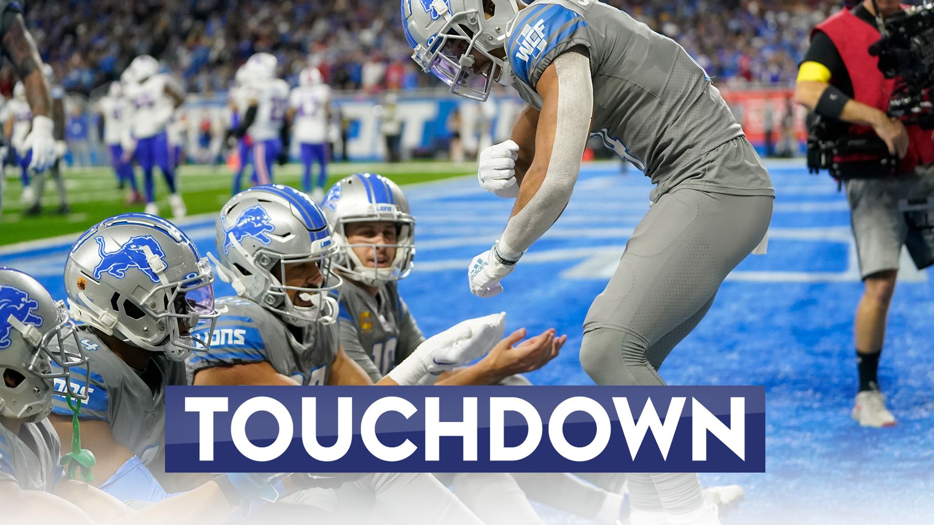 Happy Thanksgiving! Lions