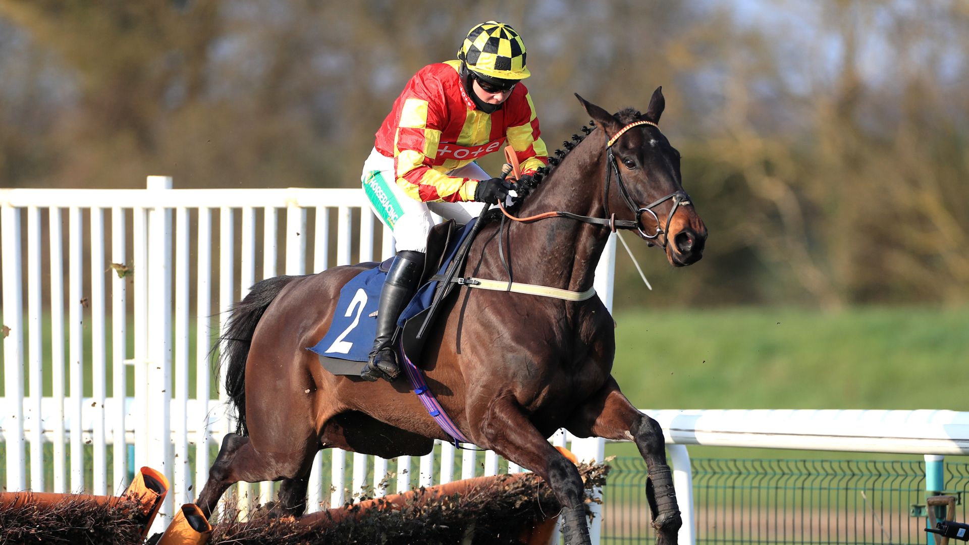 Race of the Day: King and Quinlan to strike at Ascot?