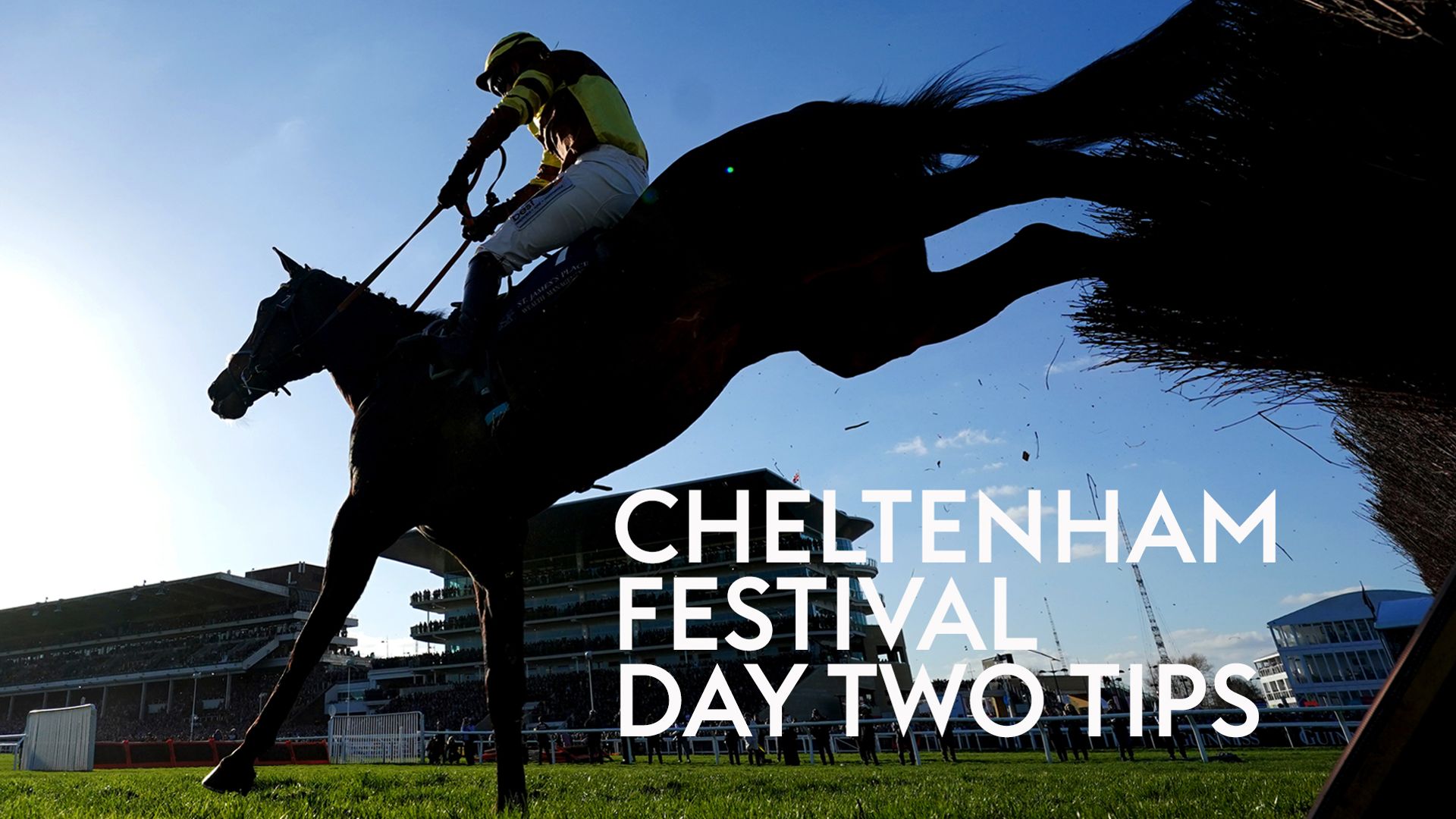 Jones Knows' Cheltenham Festival tips: Good can land Ballymore