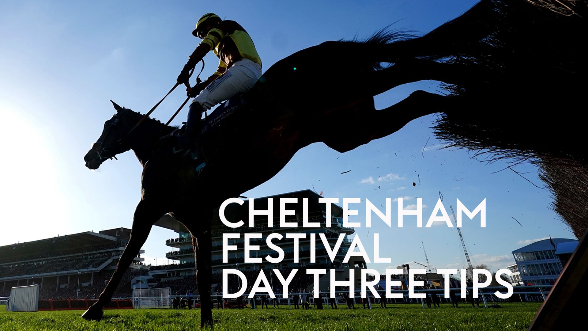 Jones Knows' Cheltenham Festival tips: Gold Tweet to strike in Stayers