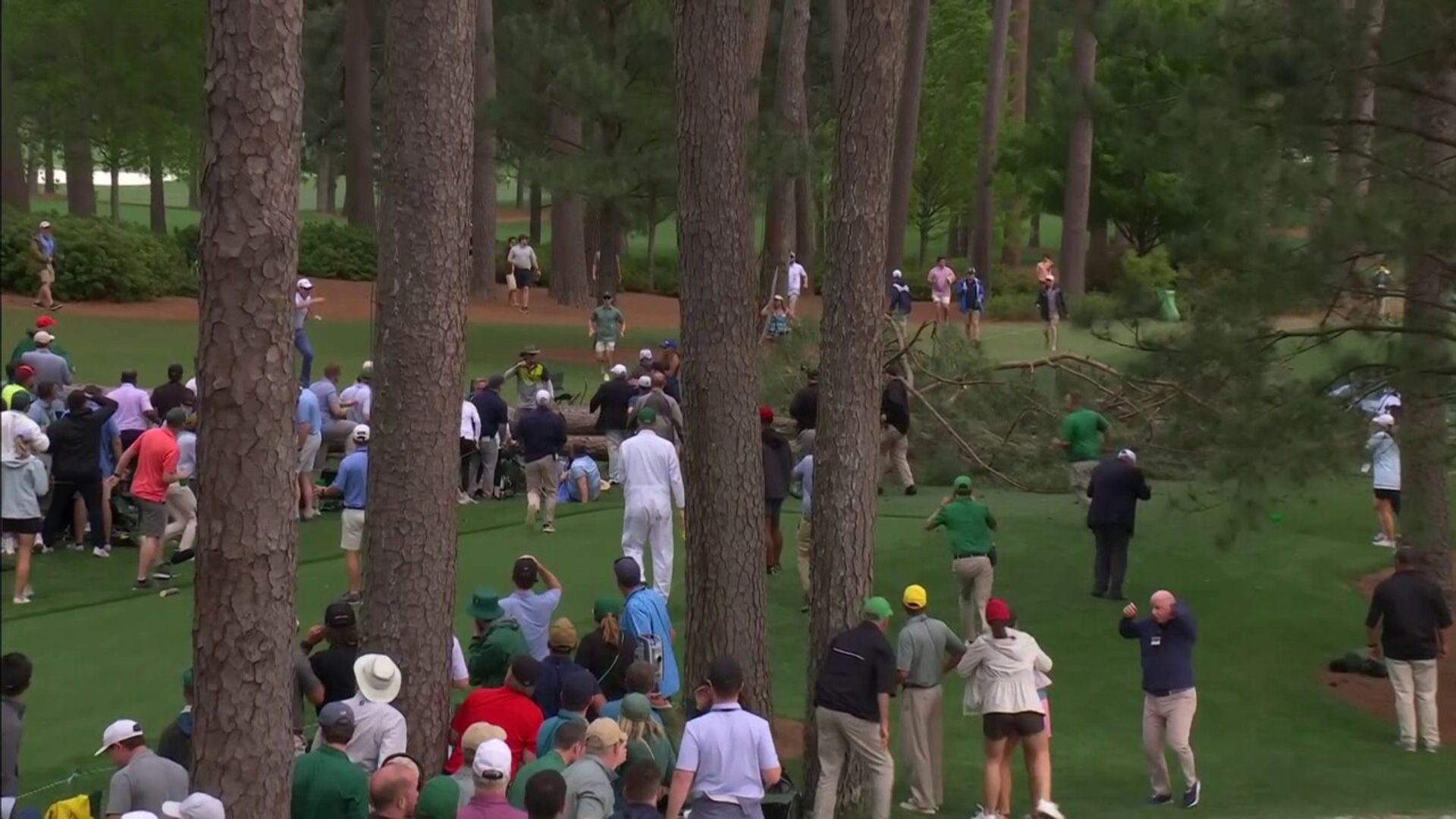 Tree falls at Augusta in high winds | 'Lucky nobody was injured'