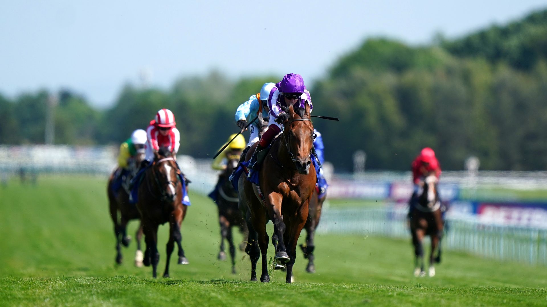 Little Big Bear roars back to winning ways in the Sandy Lane
