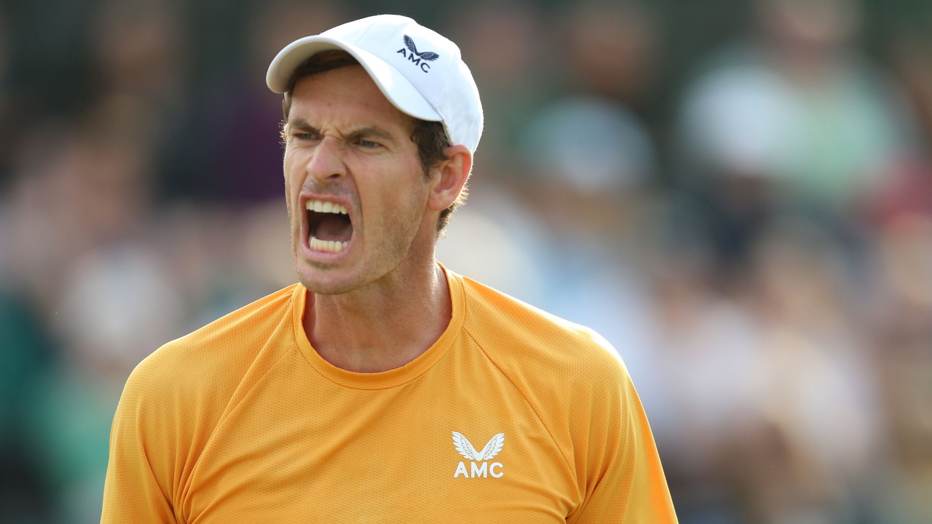 Murray: I have idea when I'd like to finish - it's not this Wimbledon
