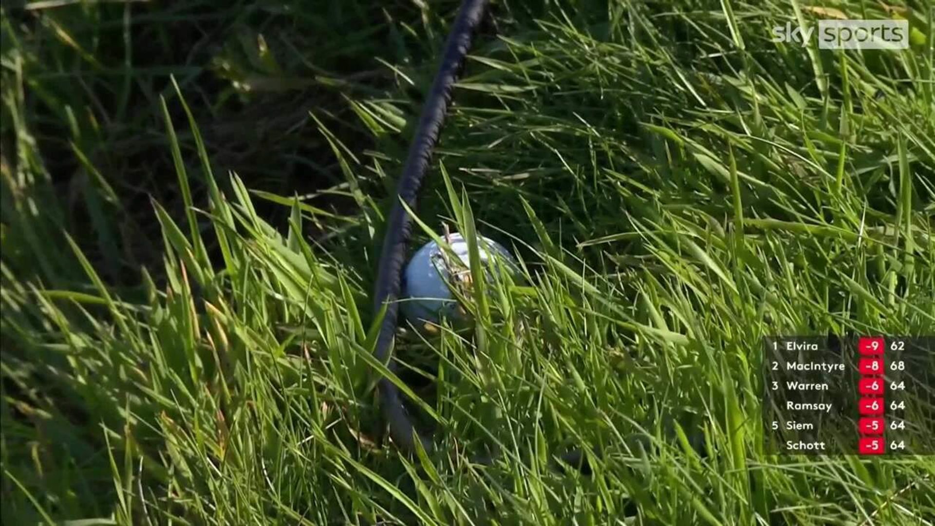 Sullivan gets lucky! | TV cable saves ball from the lake