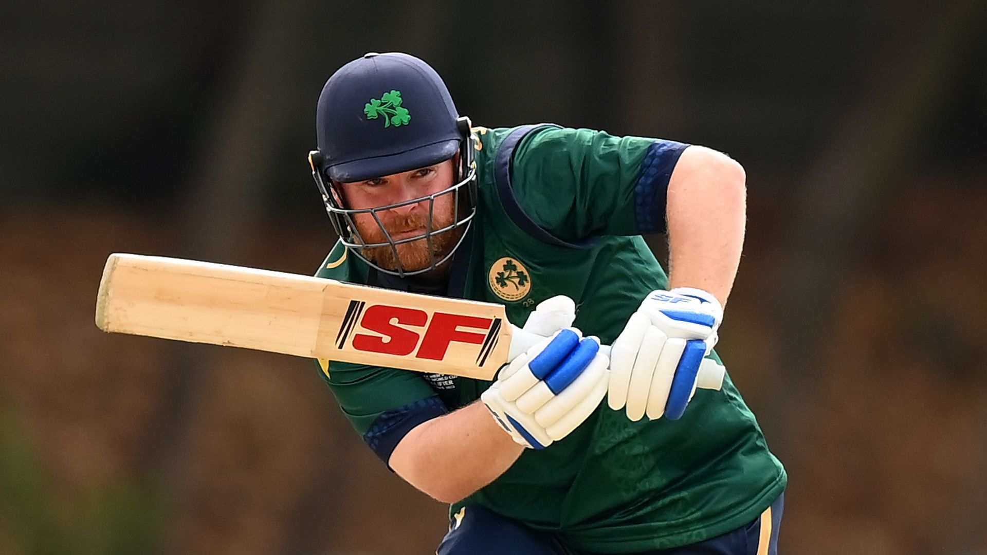 Ireland and Scotland qualify for 2024 T20 World Cup