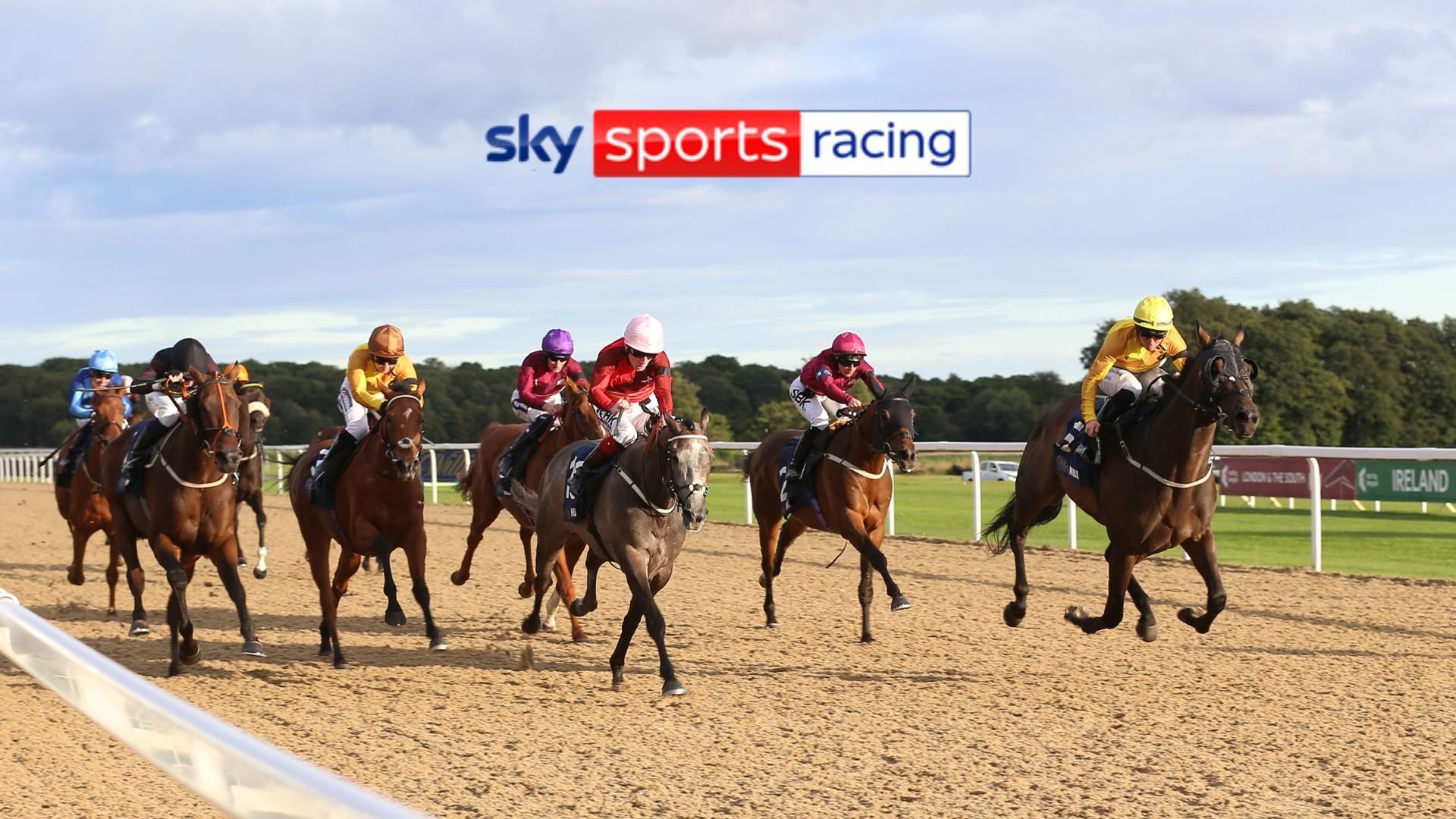 Five horses to follow in the Racing League on Thursday