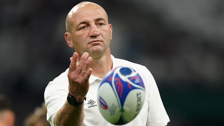 Steve Borthwick was impressed by what he saw from the England players in Marseille
