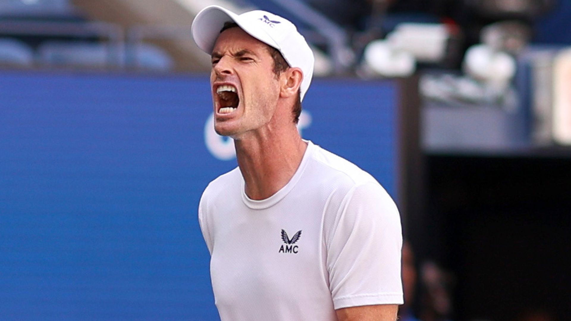 Latest tennis scores: Basel & Vienna with Murray, Norrie both playing