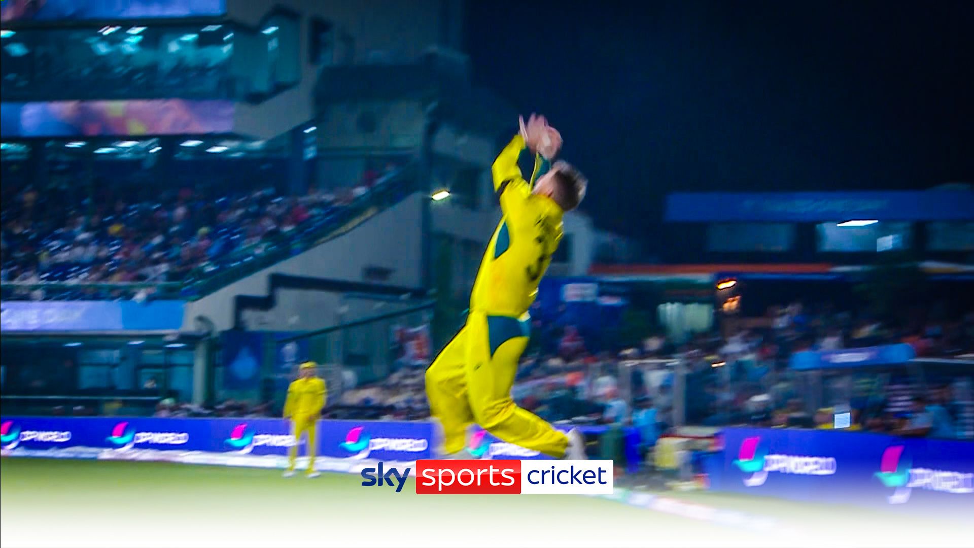 'That was special!' | Warner takes stunning catch on the boundary