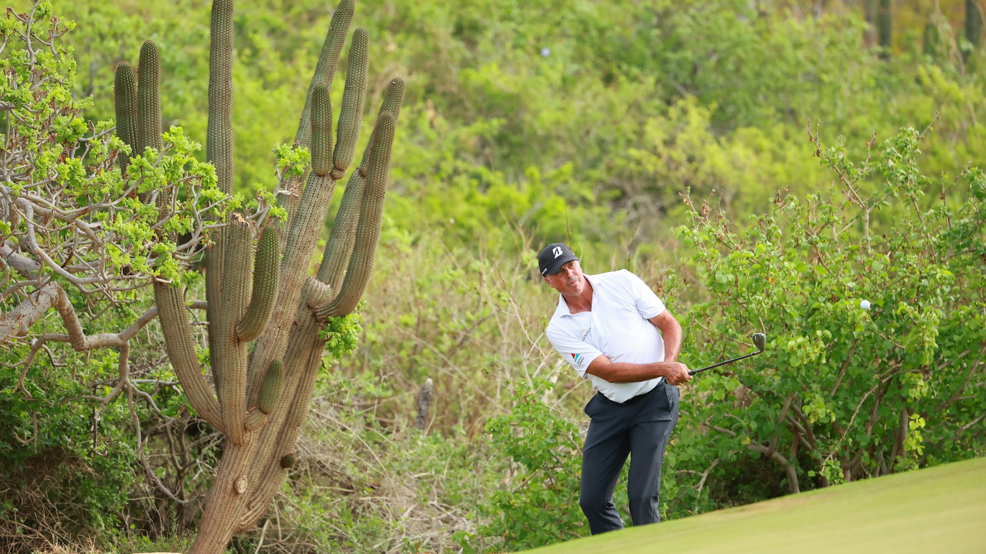 Leader Kuchar makes quadruple bogey on the 15th!