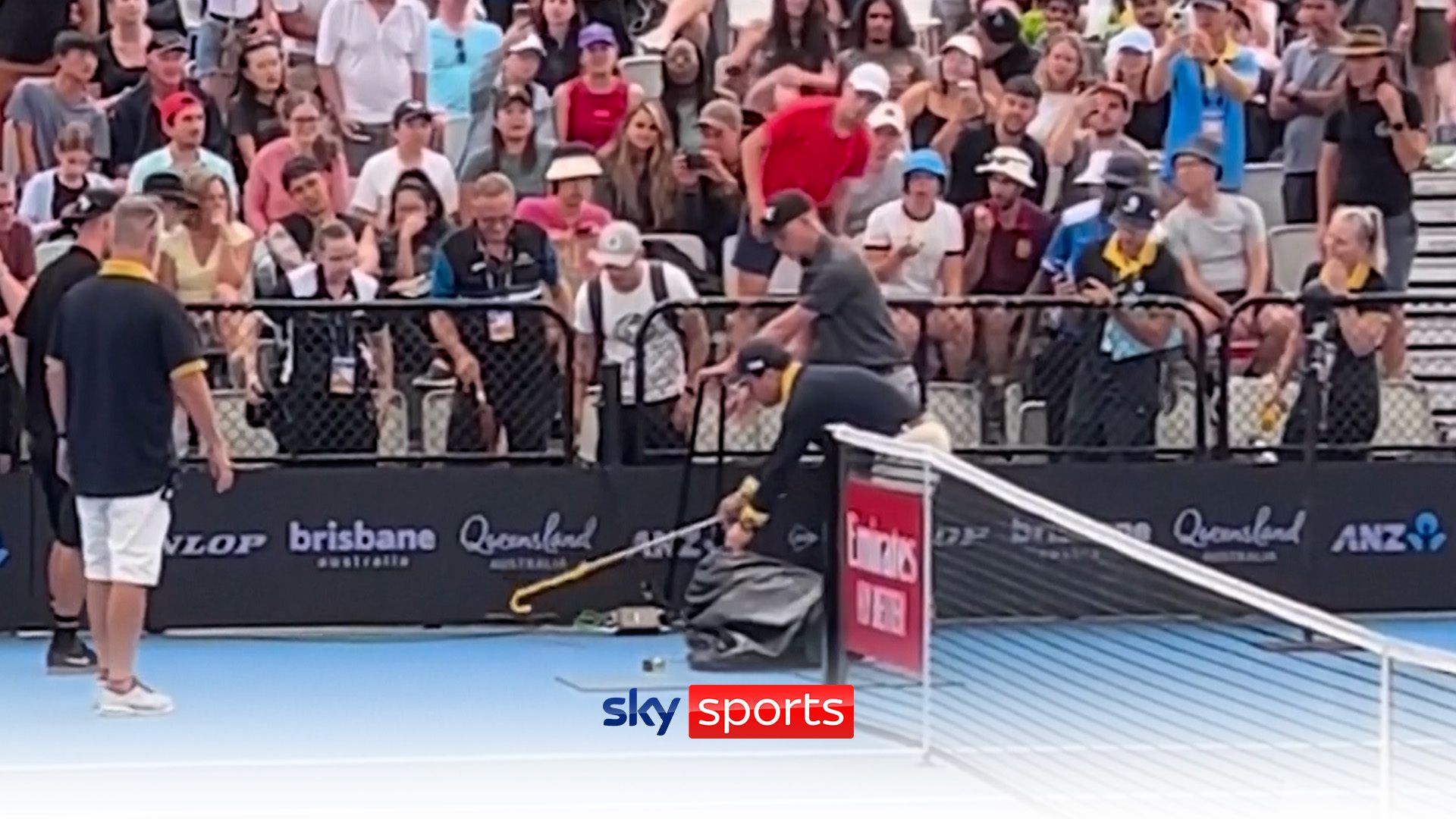 Poisonous snake disrupts Brisbane International qualifier