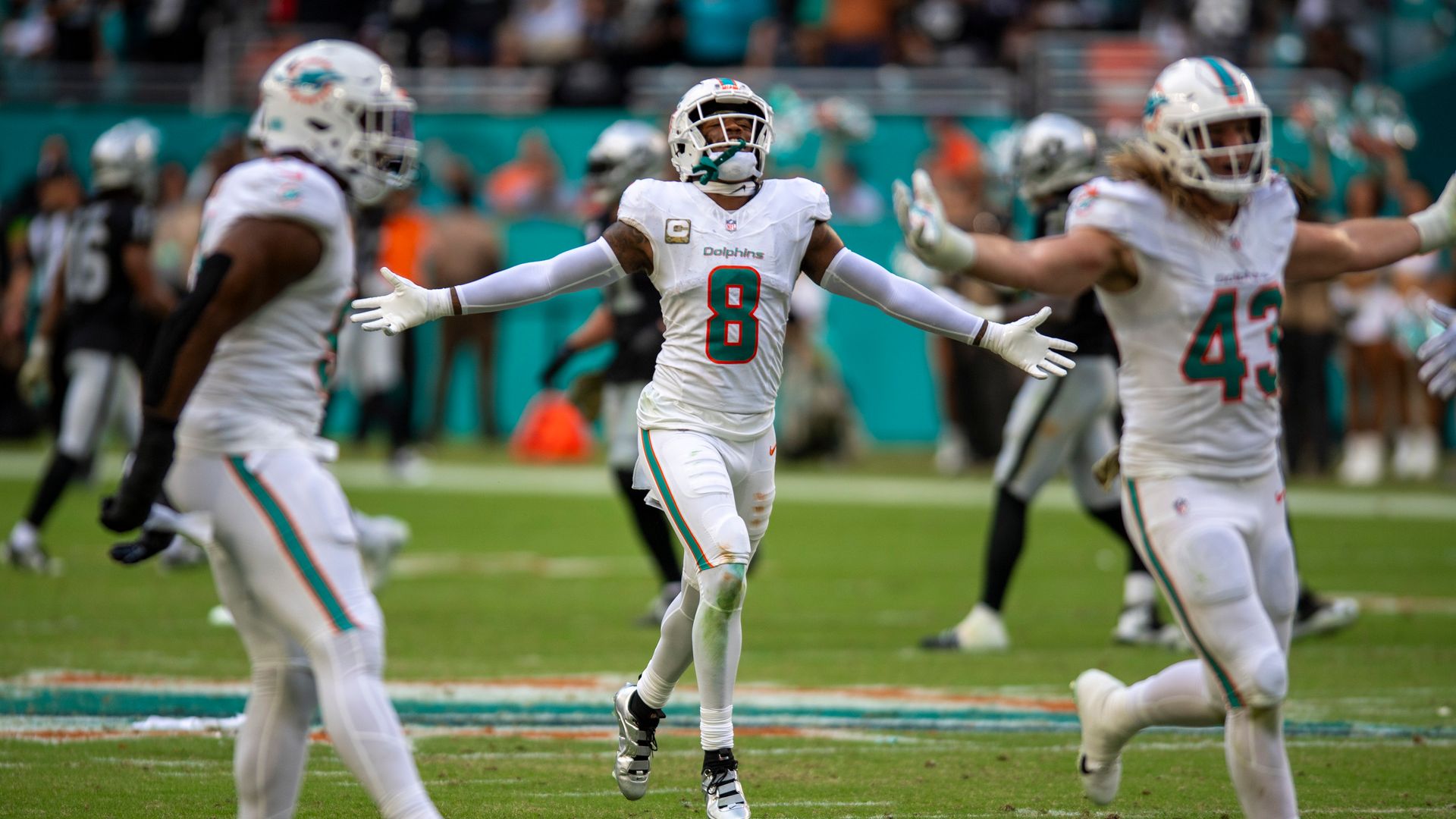 Are the Miami Dolphins the best team in the AFC?