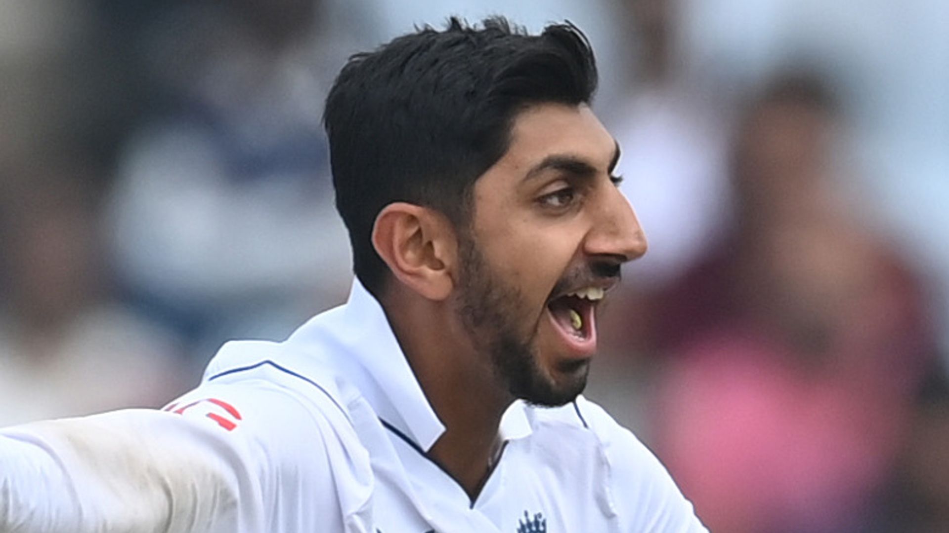 Somerset open to idea of England star Bashir leaving on loan