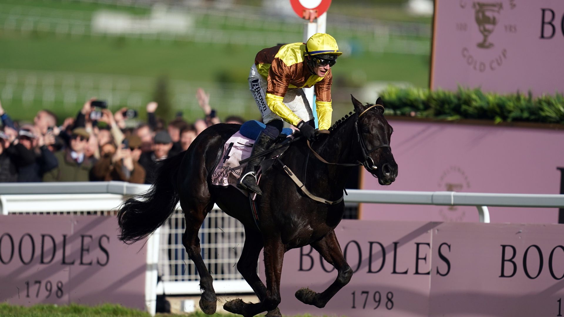 Back-to-back Gold Cup wins for Galopin Des Champs