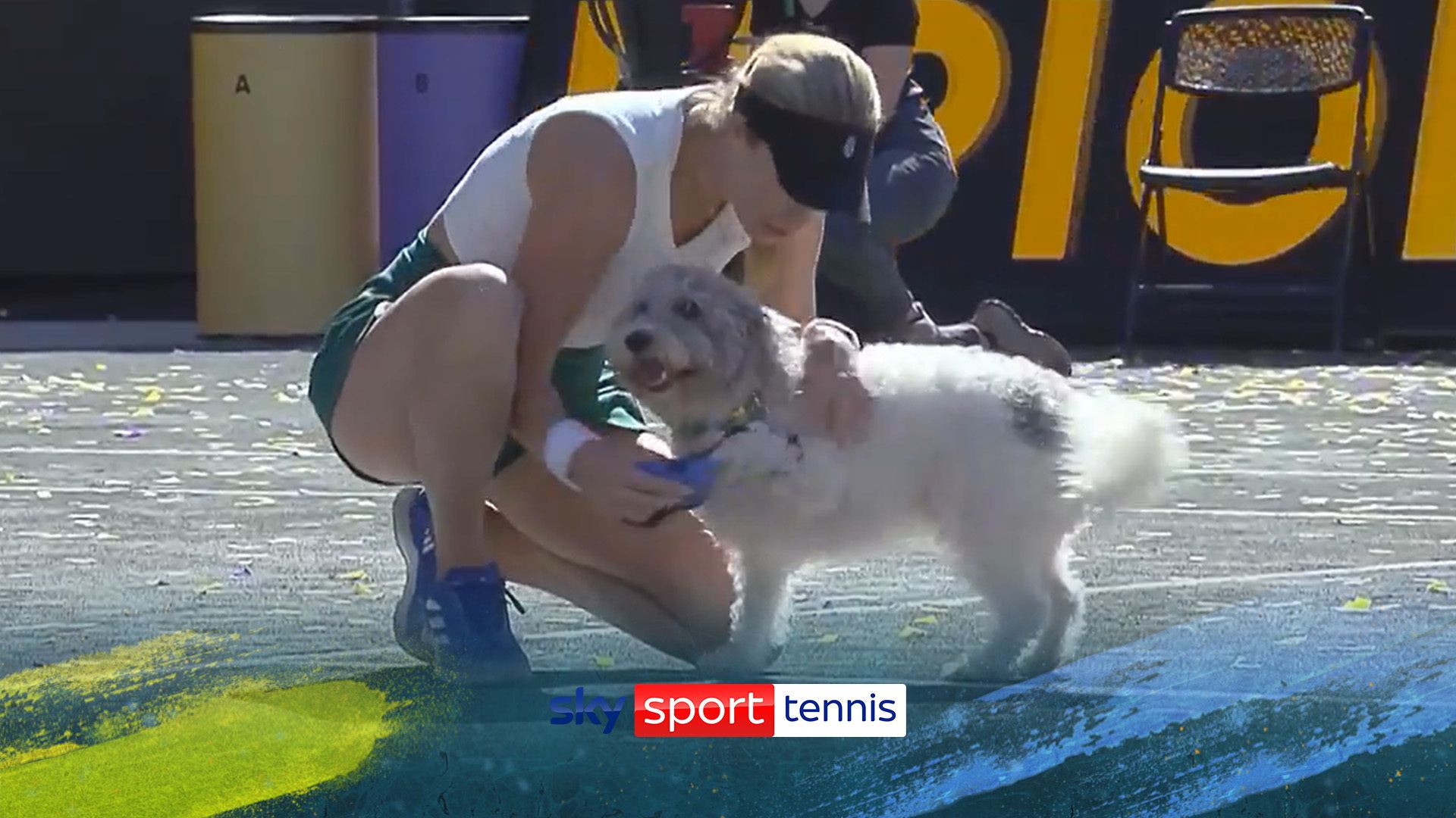Collins reunited with dog Quincy following Charleston win