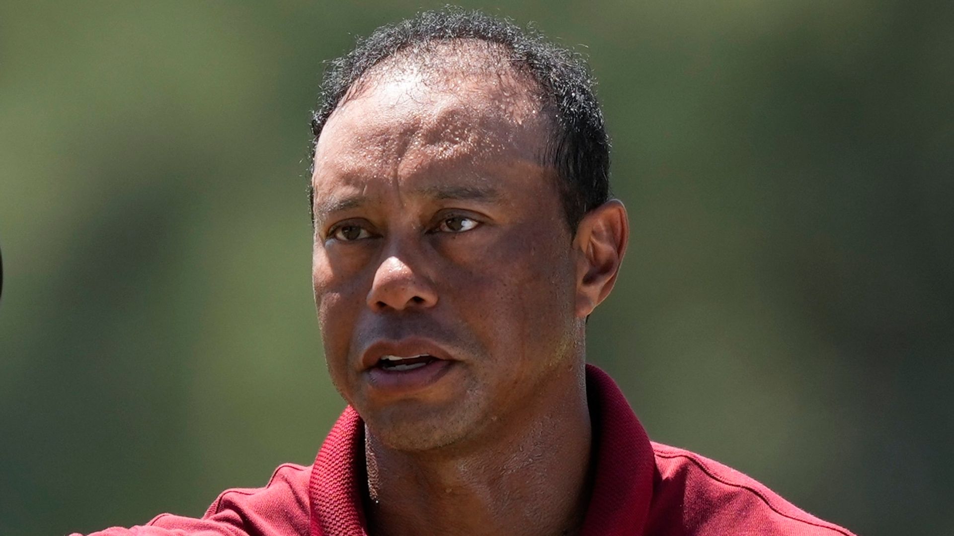 Woods to lead Team USA? Tiger 'in talks' over Ryder Cup captaincy