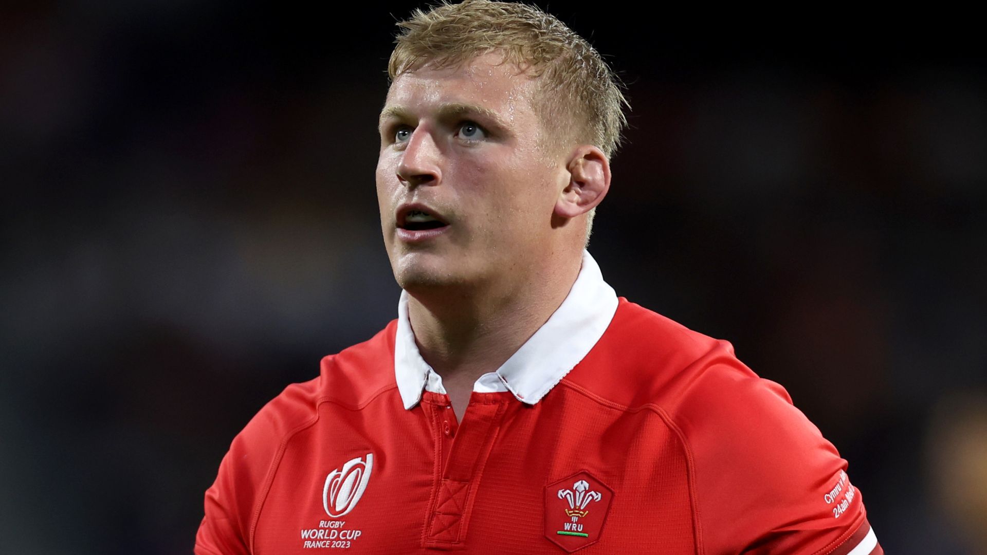 Wales flanker Morgan ruled out of summer Tests