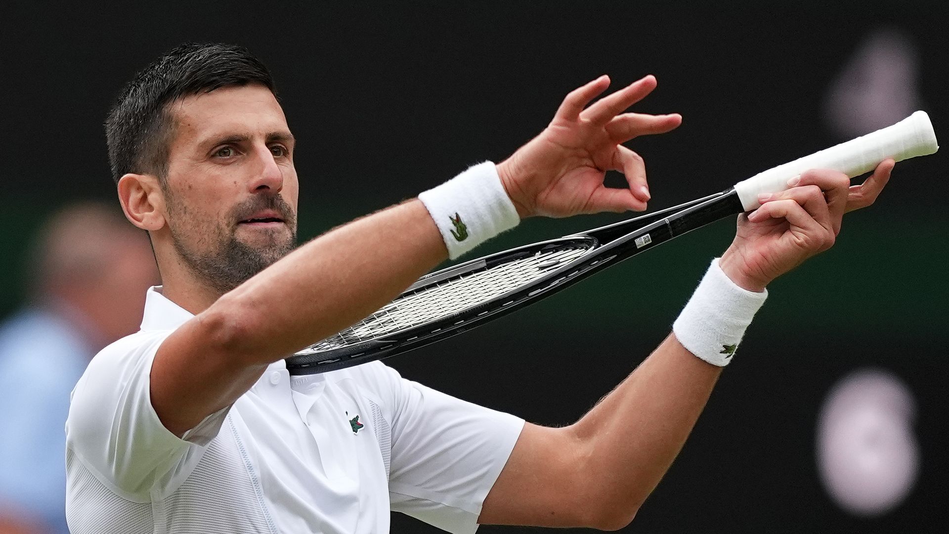 Djokovic to meet Alcaraz in Wimbledon final rematch