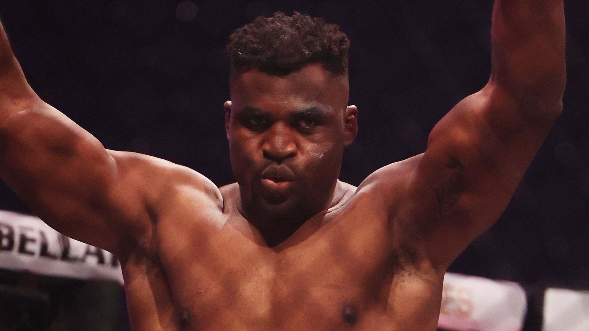 Ngannou pummels Ferreira on return to the cage