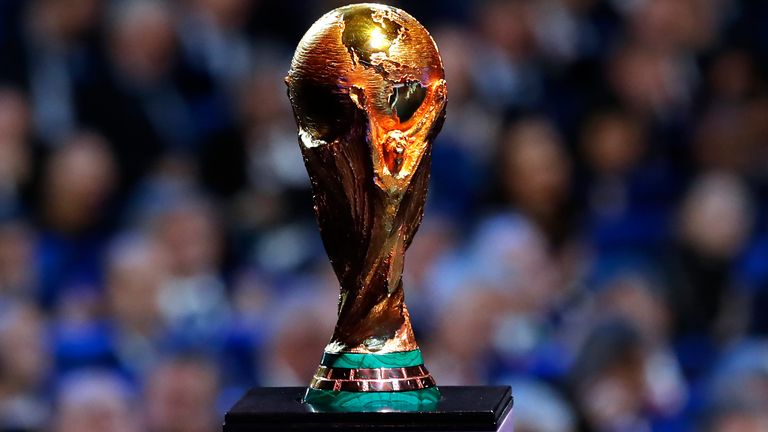 The next World Cup will be held in the USA, Canada and Mexico