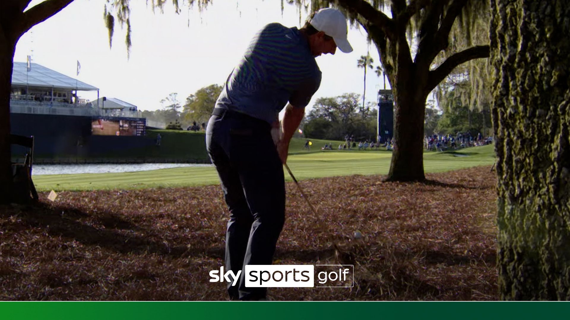 McIlroy makes INSANE birdie from Sawgrass pine straw | 'That's why he's Rory McIlroy!'