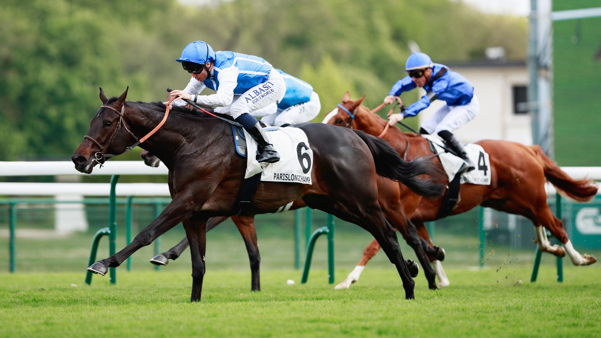 Nighttime and Synaran clash at ParisLongchamp