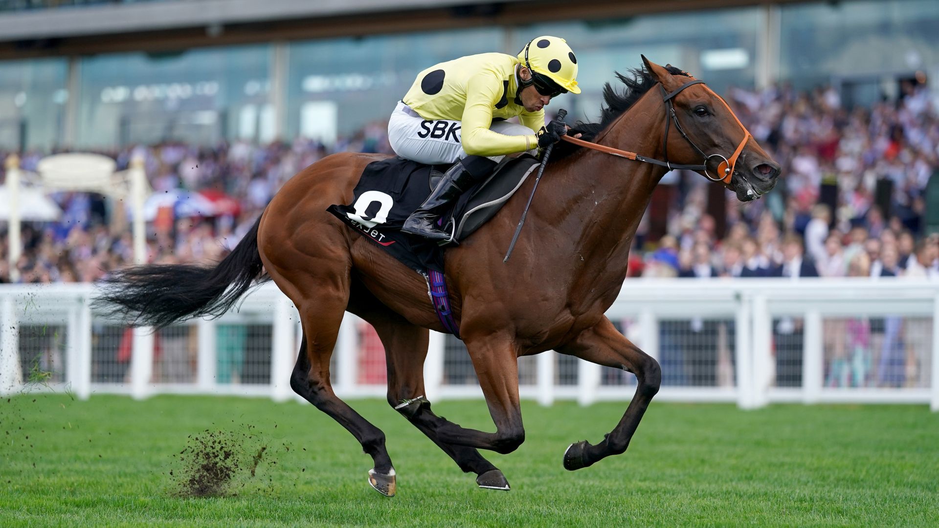 Rosallion and Dancing Gemini clash in blockbuster Lockinge