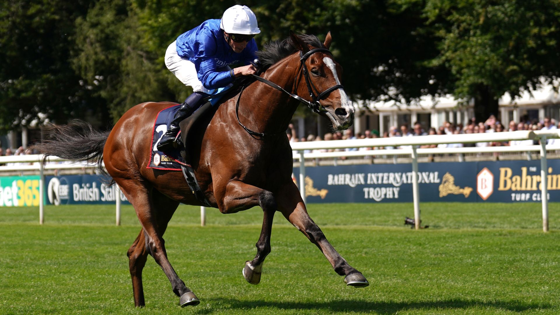 El Cordobes flies home to seal landmark victory for Buick