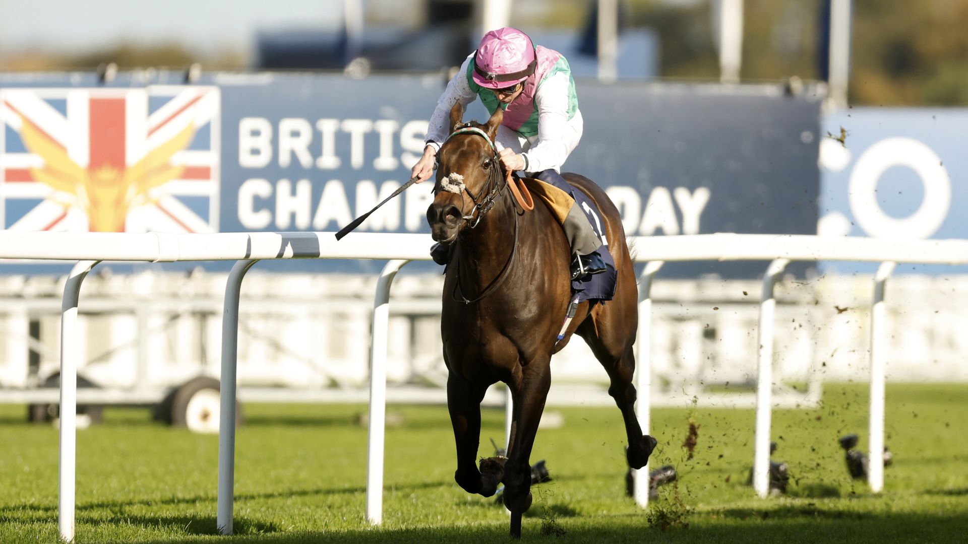 Kalpana not a certain Arc contender after Kempton defeat