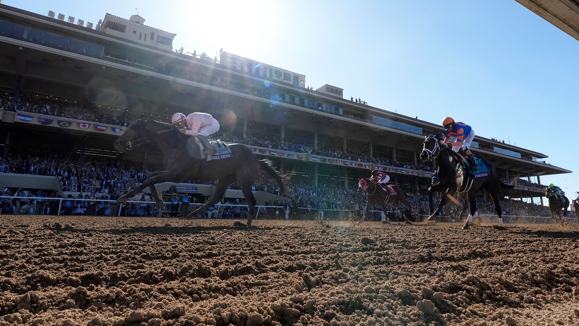 Who wins the Breeders' Cup Classic? | Horse-by-horse guide