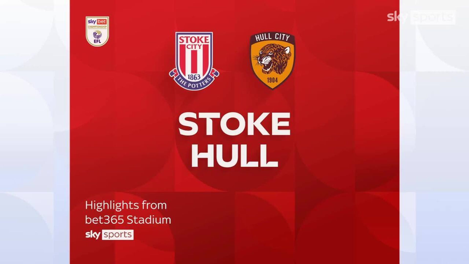 Stoke City 1-2 Hull City 