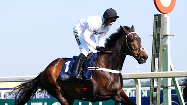 Constitution Hill could head for Southwell to run on the flat next month