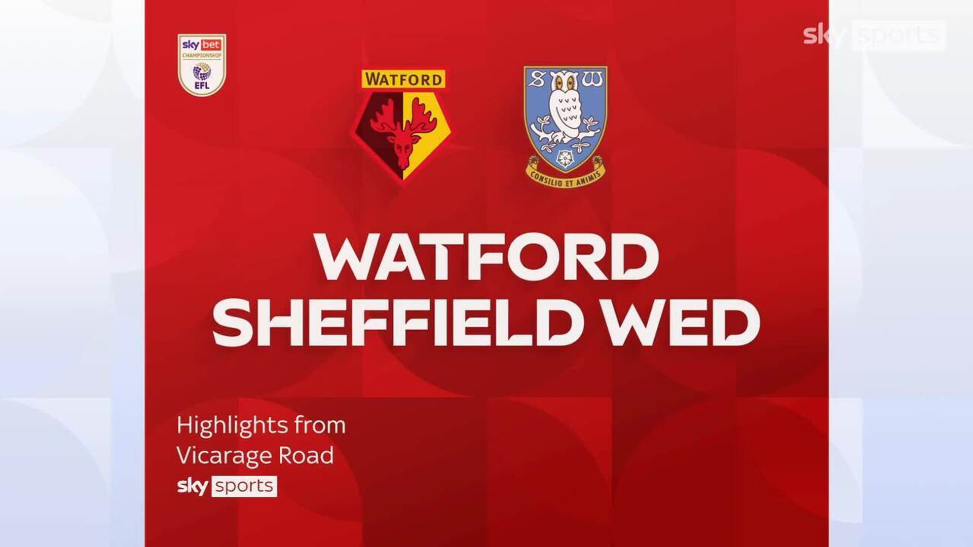 Watford 1-1 Sheff Wed