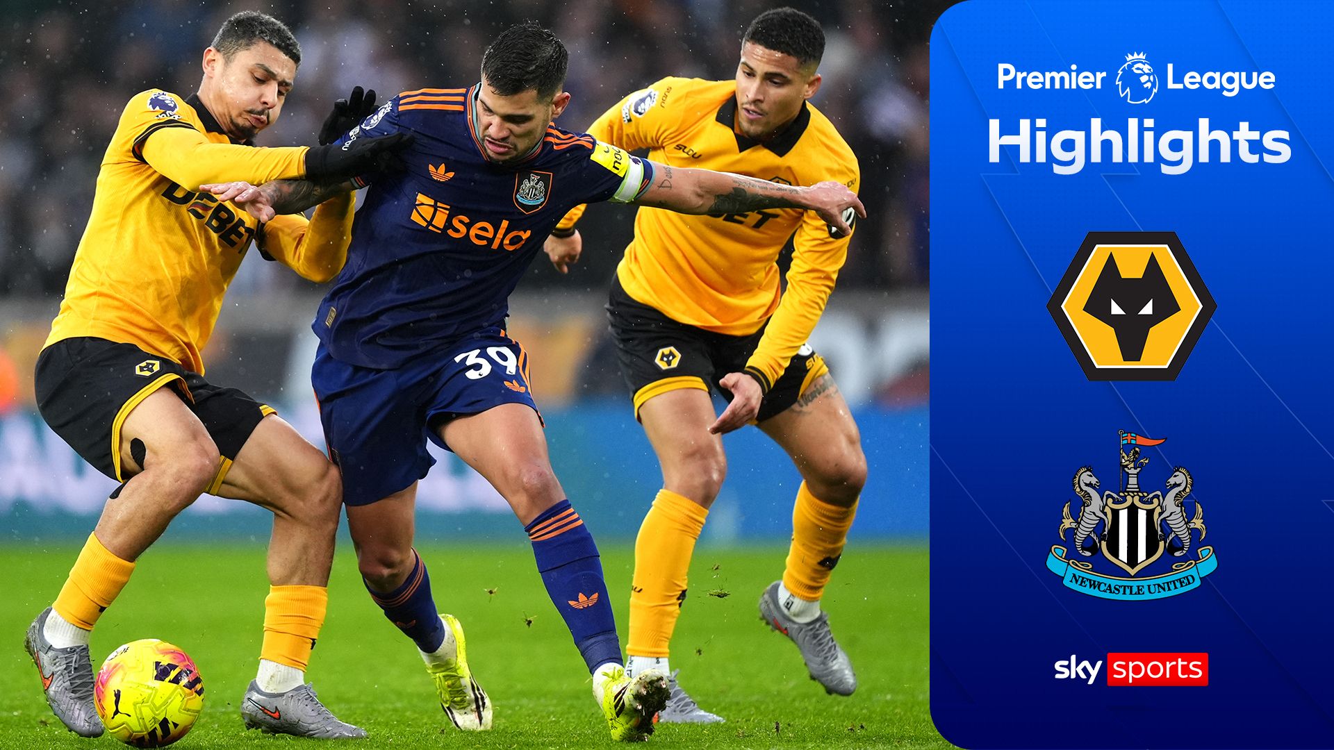 Points shared as Wolves hold Newcastle to draw at Molineux