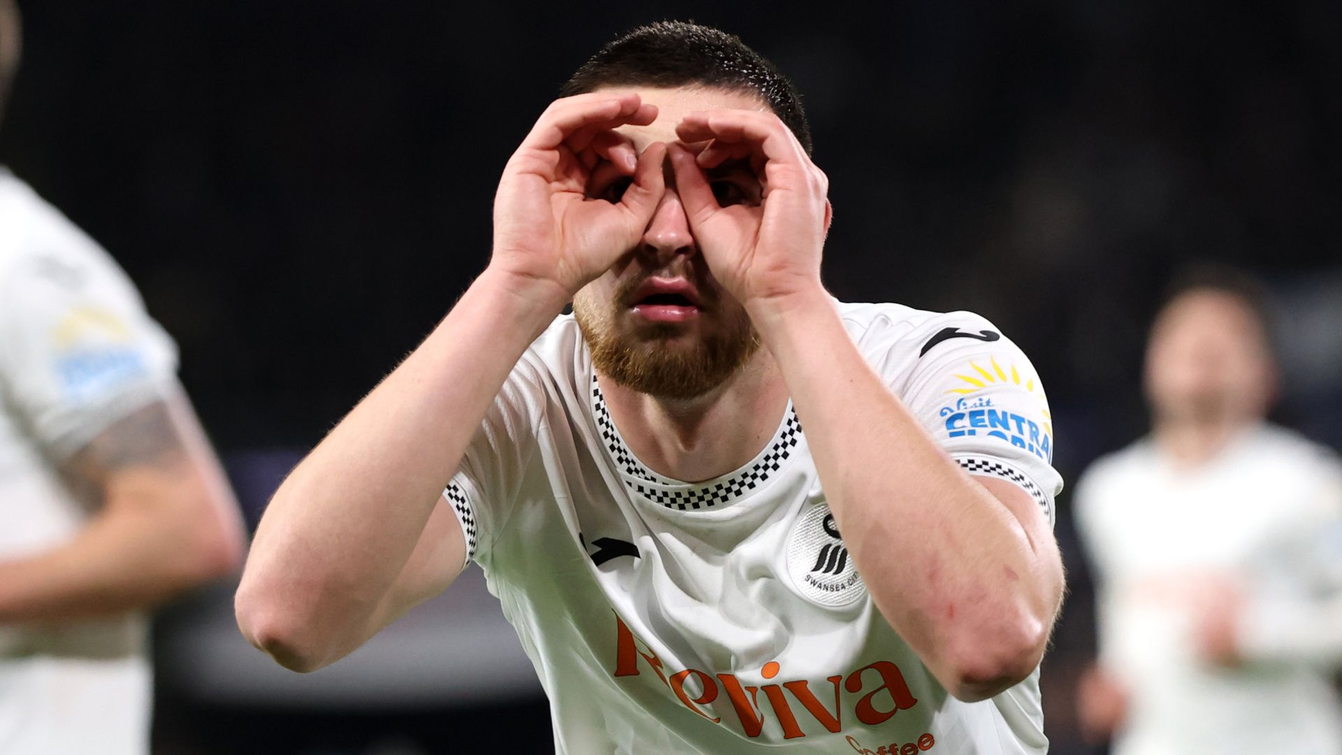 Vipotnik double steers Swans to victory