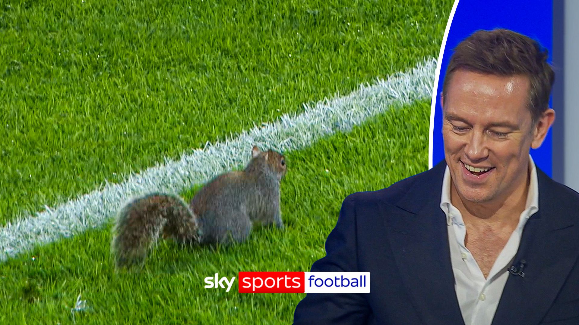 It's all gone nuts at MKM!! A squirrel runs RIOT on the pitch