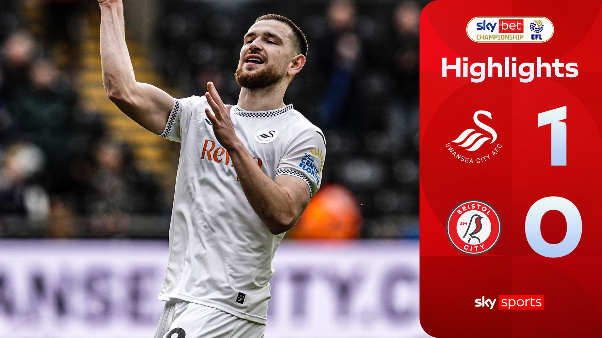 Vipotnik on scoresheet again as Swans see off Bristol City