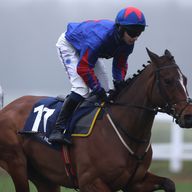 Josh The Boss is Declan's selection for the Greatwood Gold Cup